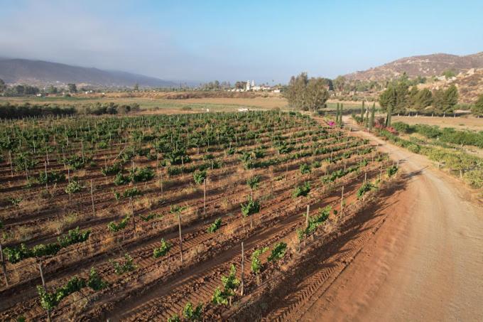 Casa Luna Vinedo Valle de Guadalupe Bagian luar foto