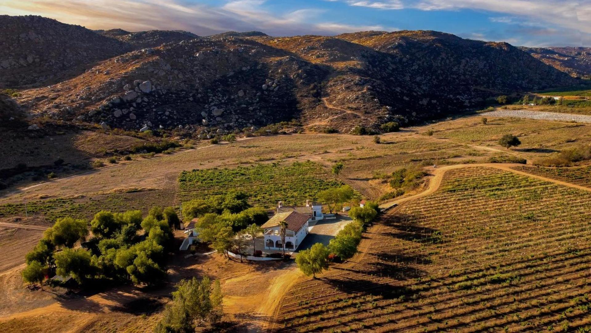 Casa Luna Vinedo Valle de Guadalupe Bagian luar foto